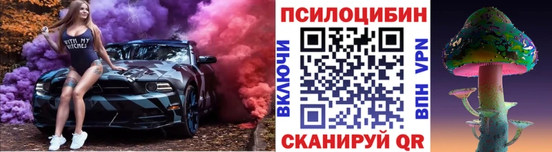 купить цена мега ССЫЛКА Псилоцибиновые грибы Cubensis Урень